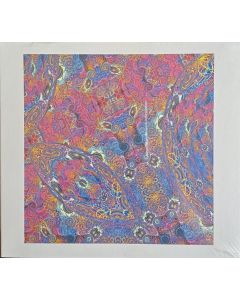 Placenta