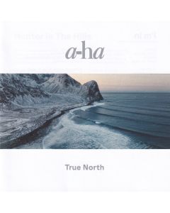 True North