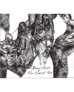 Becca Stevens & The Secret Trio