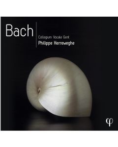 Bach