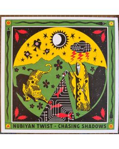 Chasing Shadows