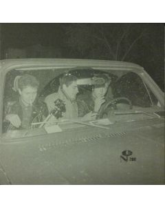 Savage Young Dü
