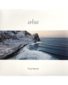 True North