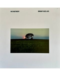 Bright Size Life
