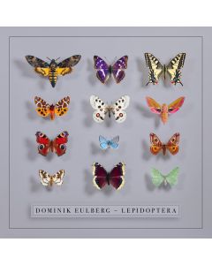 Lepidoptera