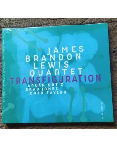 Transfiguration