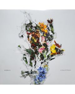 A Chaos Of Flowers