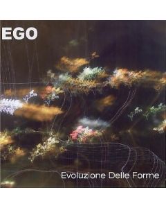 Evoluzione Delle Forme