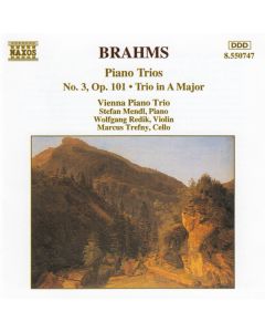 Piano Trios. No. 3, Op. 101 - Trio In A Major