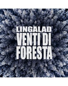 Venti Di Foresta