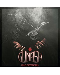 Great Expectations