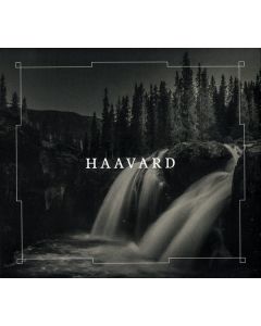 Haavard
