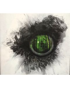 Emerald Forest And The Blackbird
