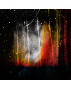 Dances On Walls