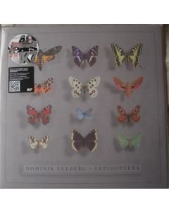 Lepidoptera