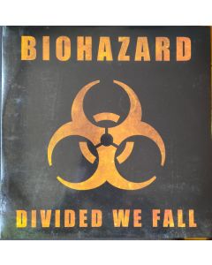 Divided We Fall