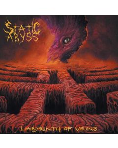 Labyrinth Of Veins