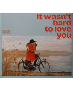It Wasn't Hard To Love You
