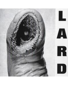 Power Of Lard EP