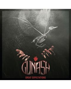 Great Expectations