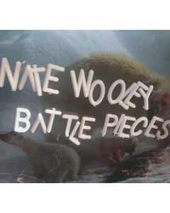 Battle Pieces 4