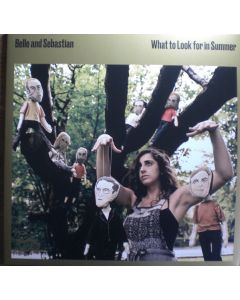 What To Look For In Summer