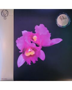 Orchid