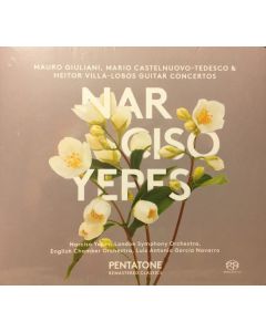 Guitar Concertos