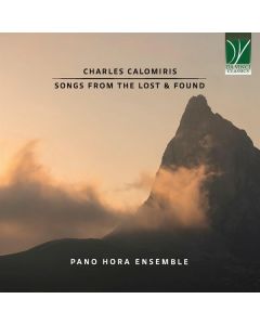 Songs From The Lost & Found