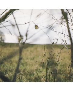The Cycle Of Days And Seasons