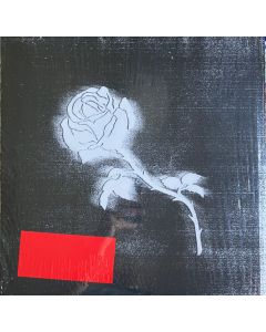 Liberato