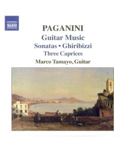 Guitar Music