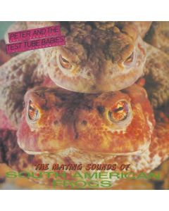 The Mating Sounds Of South American Frogs