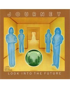 Look Into The Future