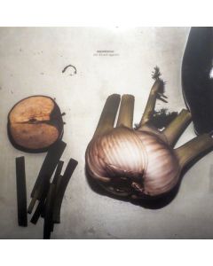 Still Life With Eggplant