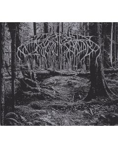 Wolves In The Throne Room