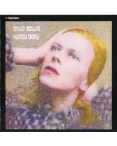Hunky Dory