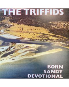 Born Sandy Devotional