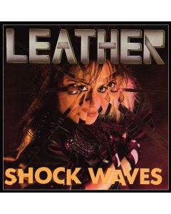 Shock Waves