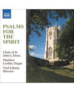 Psalms For The Spirit