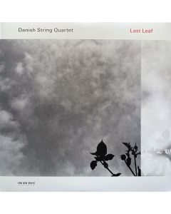 Last Leaf