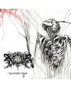 Inevitably Dark