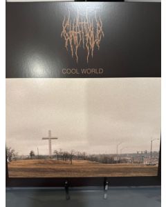 Cool World