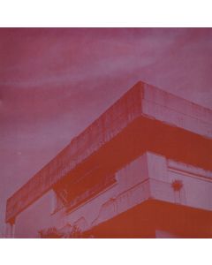 Precious Dream (Smog Vinyl)