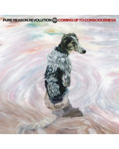 Coming Up To Consciousness