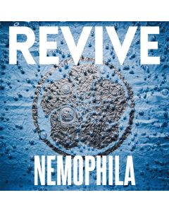 Revive