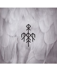 Kvitravn / First Flight Of The White Raven