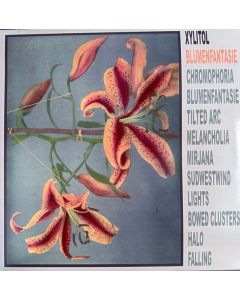 Blumenfantasie