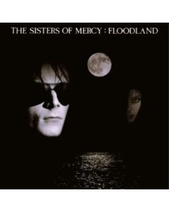 Floodland