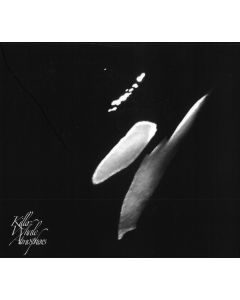Killer Whale Atmospheres